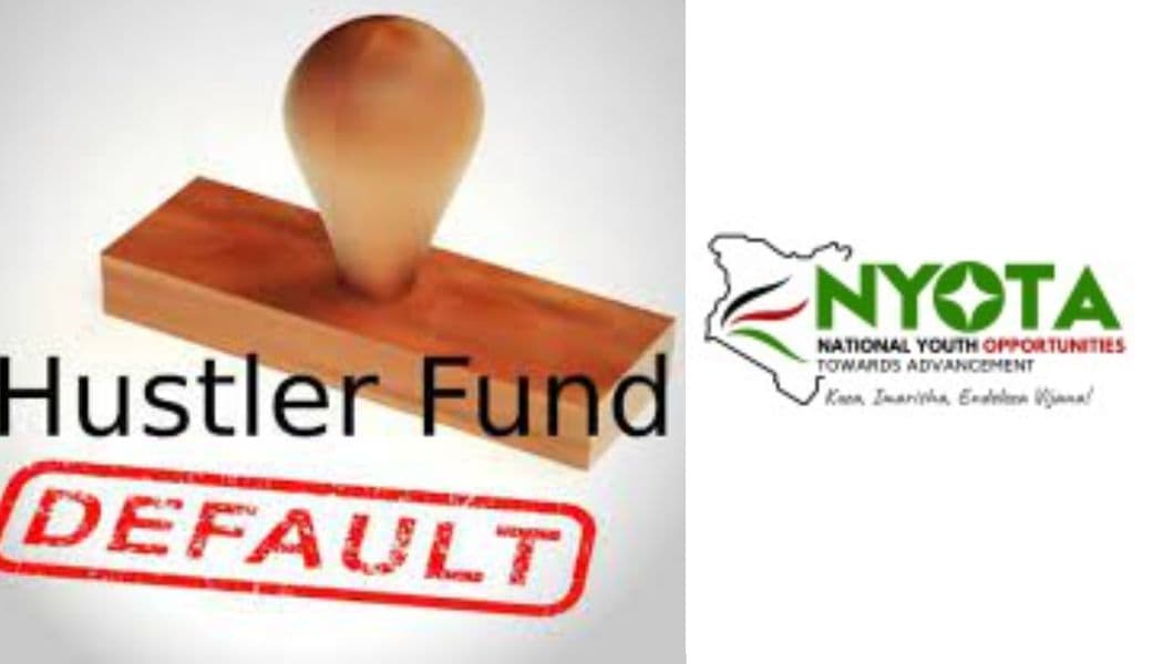 Hustler fund defaulters blocked from getting NYOTA programme fund
