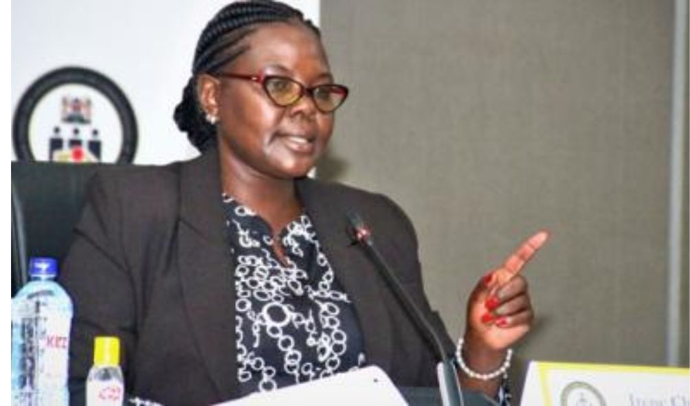 IEBC commissioner responds to claims of holding secret meeting with Azimio