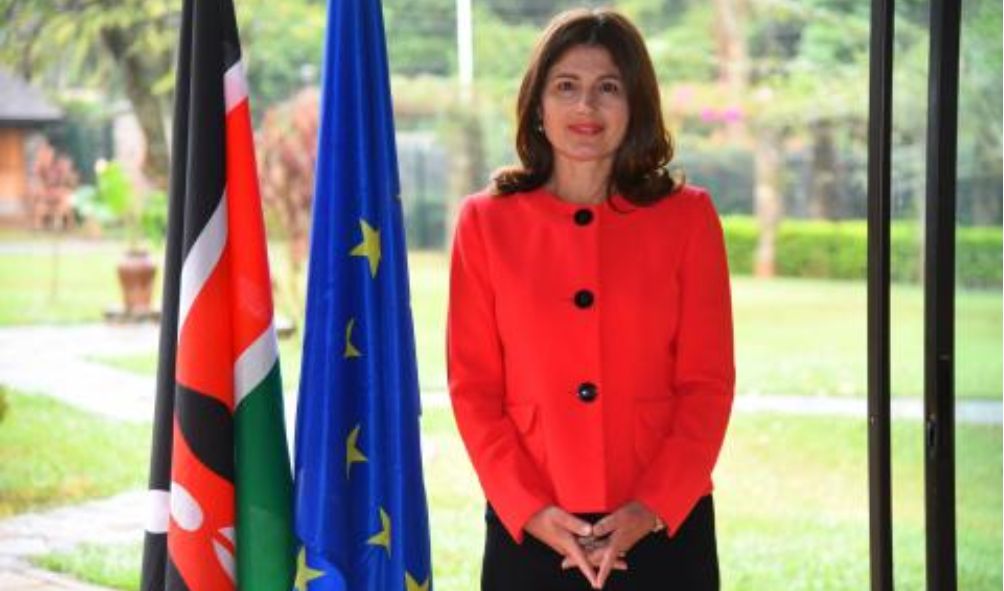 EU lauds IEBC for "upholding transparency and integrity" elections