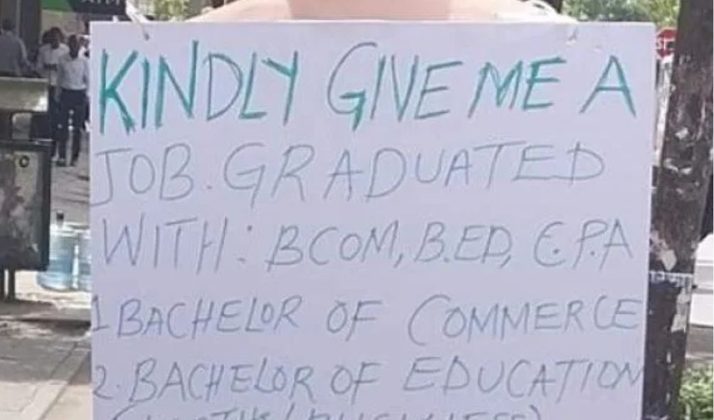 Graduate with two degrees and CPA cries for help after tarmacking for 9 years