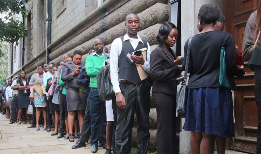 Parliament begins the process of removing the work experience requirement for job seekers
