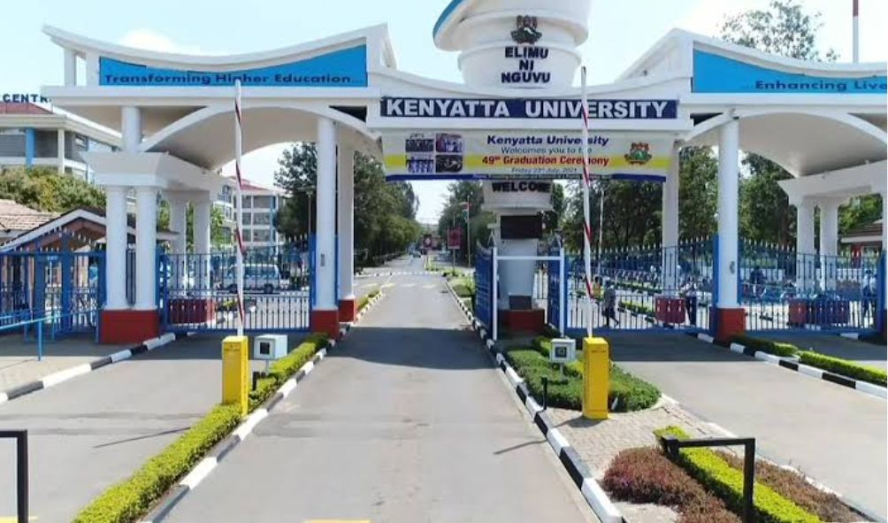 Inside Ruto's plan to shut down specific public universities over funding challenges