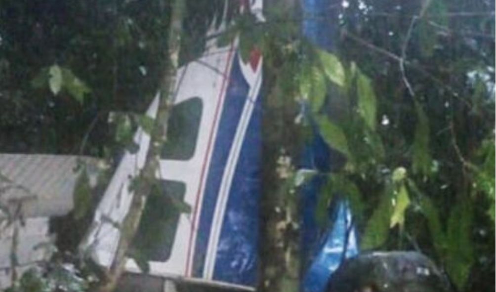 Four children found alive in Amazon 17 days after plane crash