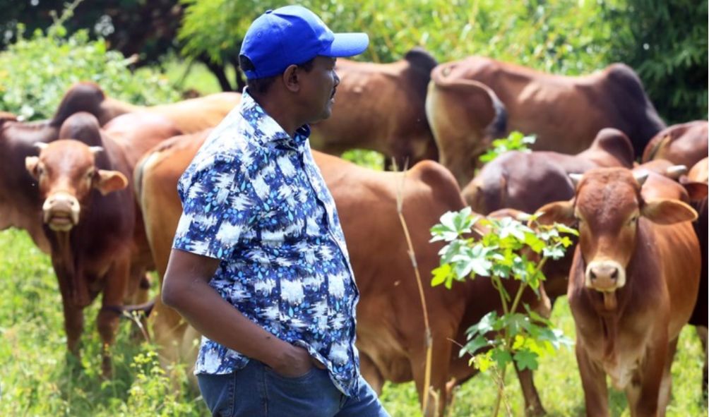 Kalonzo explains how he bought the controversial Yatta farm from a widow