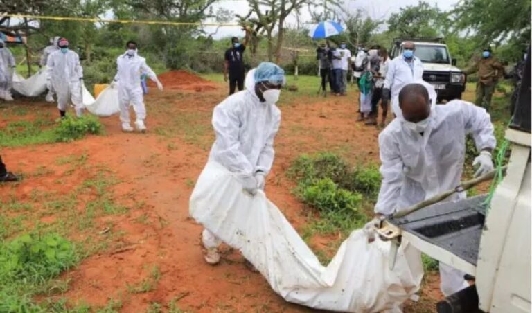 Blow to Ruto as court stops Shakahola probe