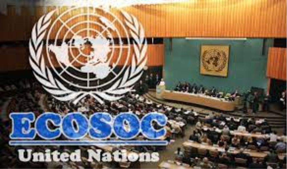 Kenya wins influential UN seat