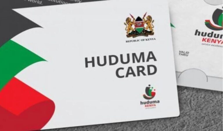 Government will not force Kenyans to take dital IDs, ICT CS
