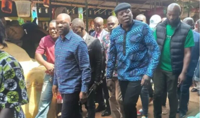 Ruto easiest president to impeach, Azimio MP