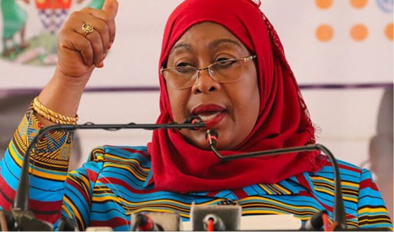 Tanzanian President Samia Suluhu speaks on situation in Kenya with investors fleeing