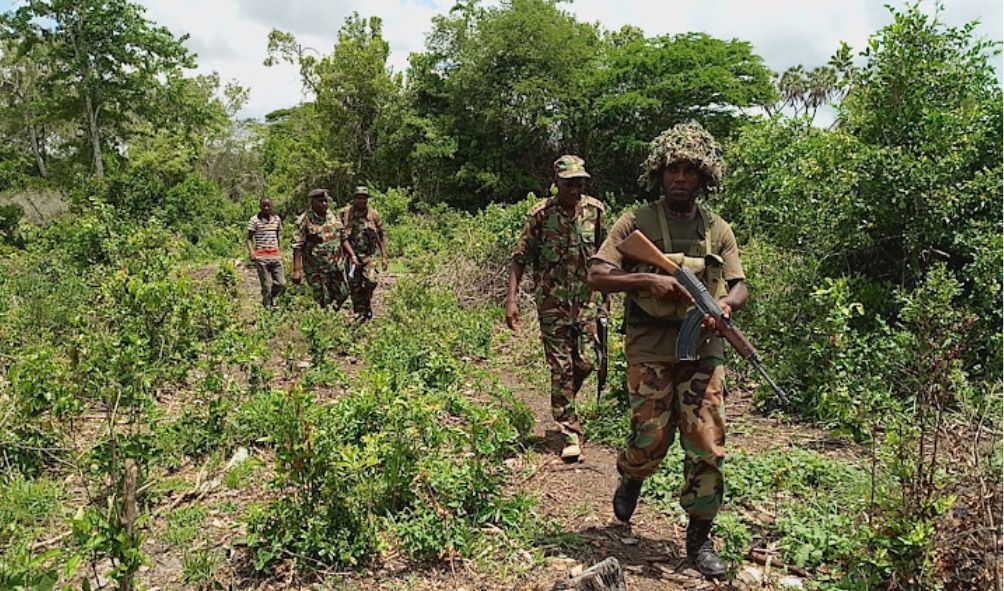 People reported missing as Alshabaab attacks motorists in Lamu