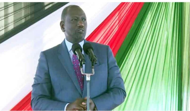 Ruto chides some CSs who knew so little about their dockets
