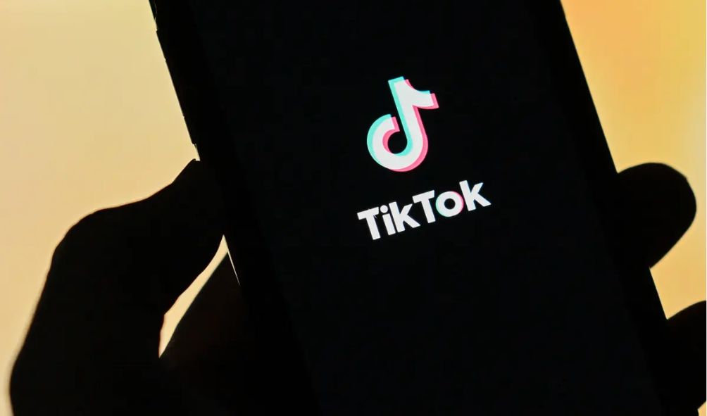 Parliament petitioned to ban TikTok