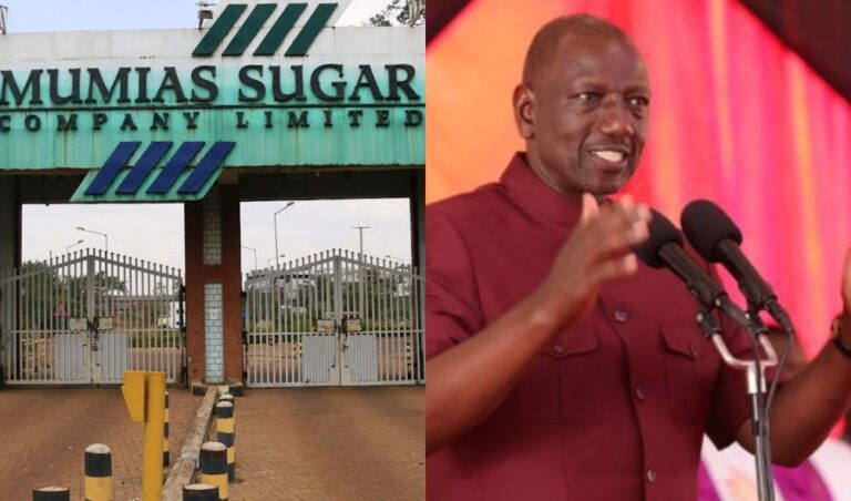 Death threats by state agents forced me to withdraw cases following Ruto remarks, Lawyer