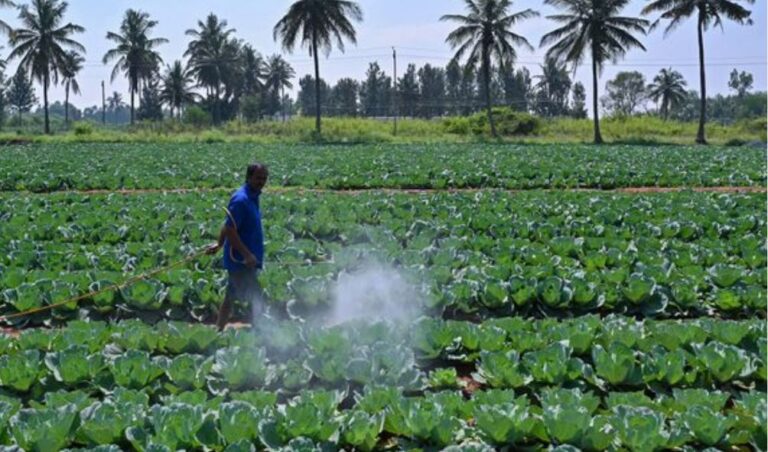 Kenyans consuming food containing residues of pesticides banned in Europe