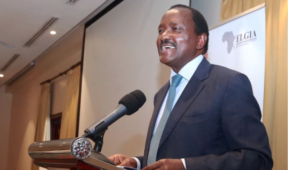 2022 election financiers holding Ruto government hostage, Kalonzo