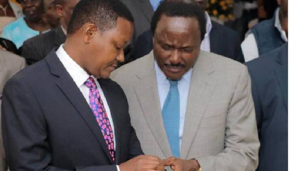 Kalonzo defends CS Mutua over 'demotion' after cabinet reshuffle