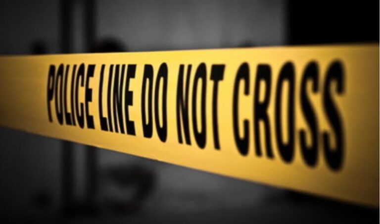 Mother beats her 27-year-old drunk son to death