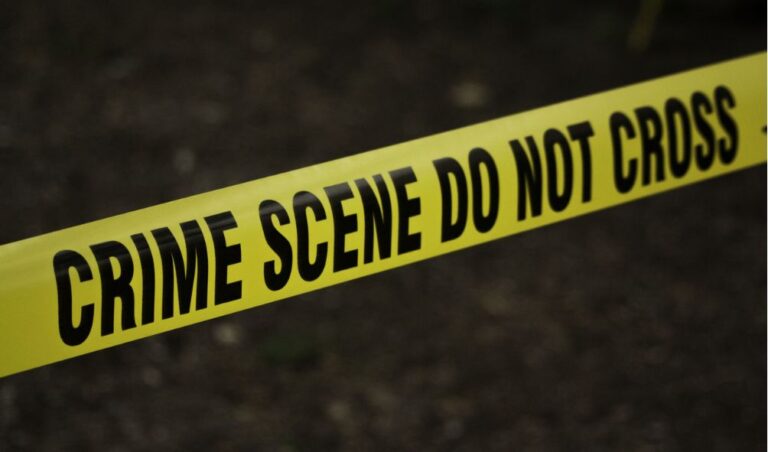 Armed men posing as police officers shoot woman in front of her children