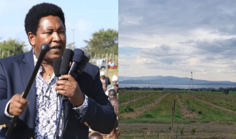 Senator Ledama slams Ruto over his rirective on controversial Kedong ranch