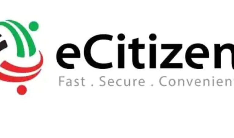 Government collecting Ksh 281 million daily in revenue from the eCitizen platform