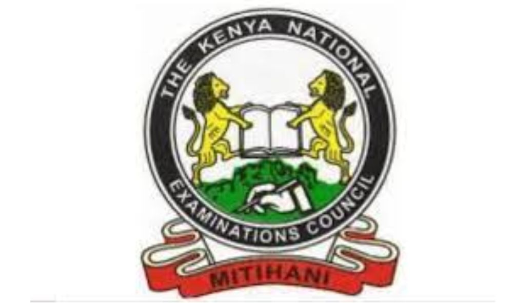 Learners with queries on KCPE results have 30 days to file a complaint as KNEC explains errors