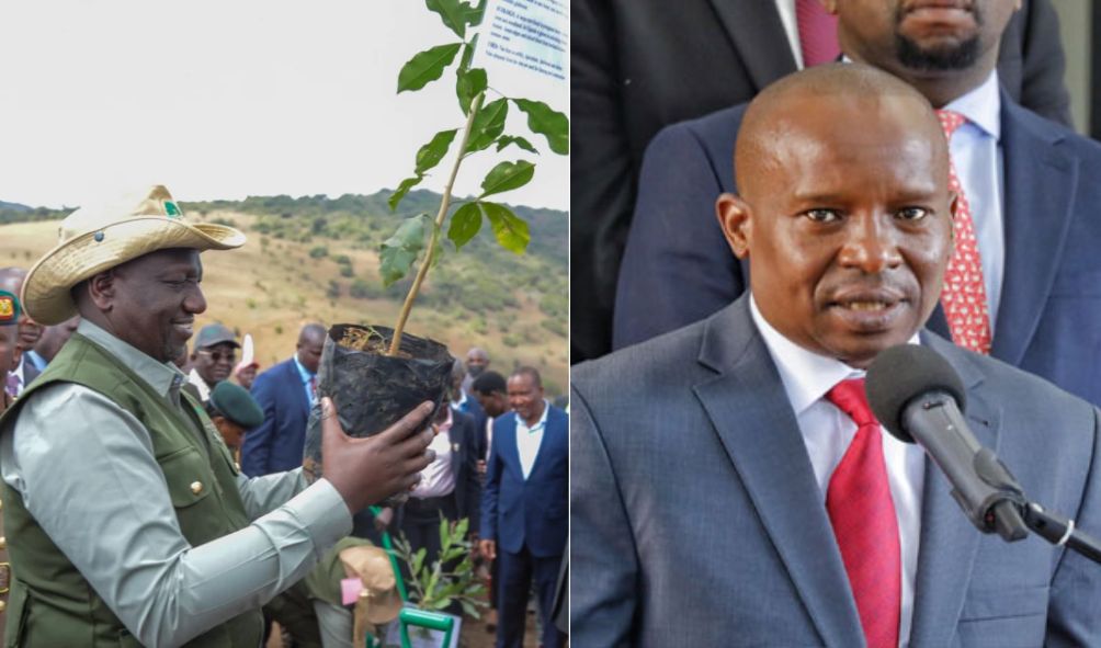 Government declare Monday November 13, a public holiday in line with Ruto agenda