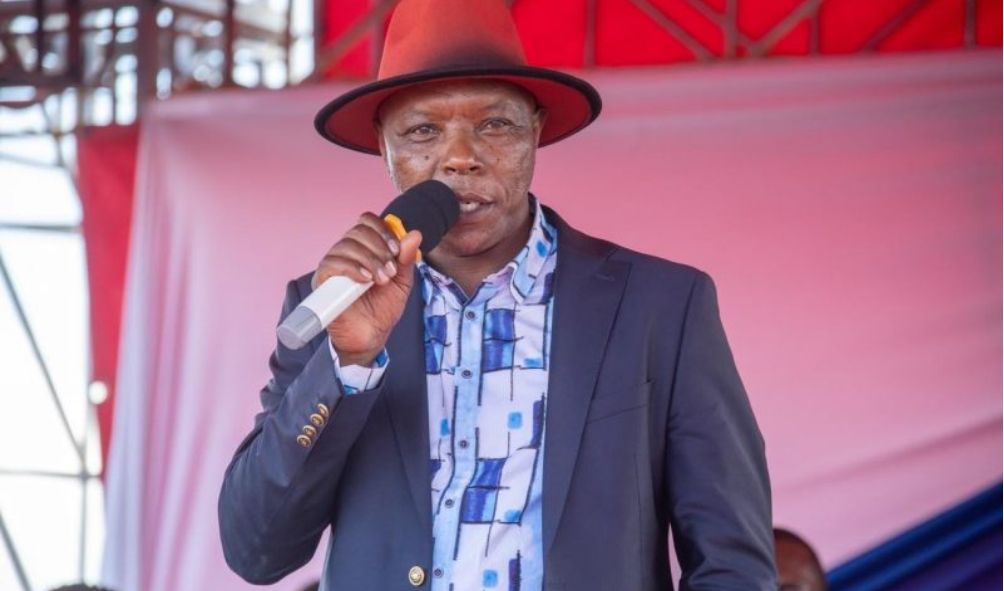 ‘Mt Kenya made mistake for joining Ruto without a party'- Maina Njenga