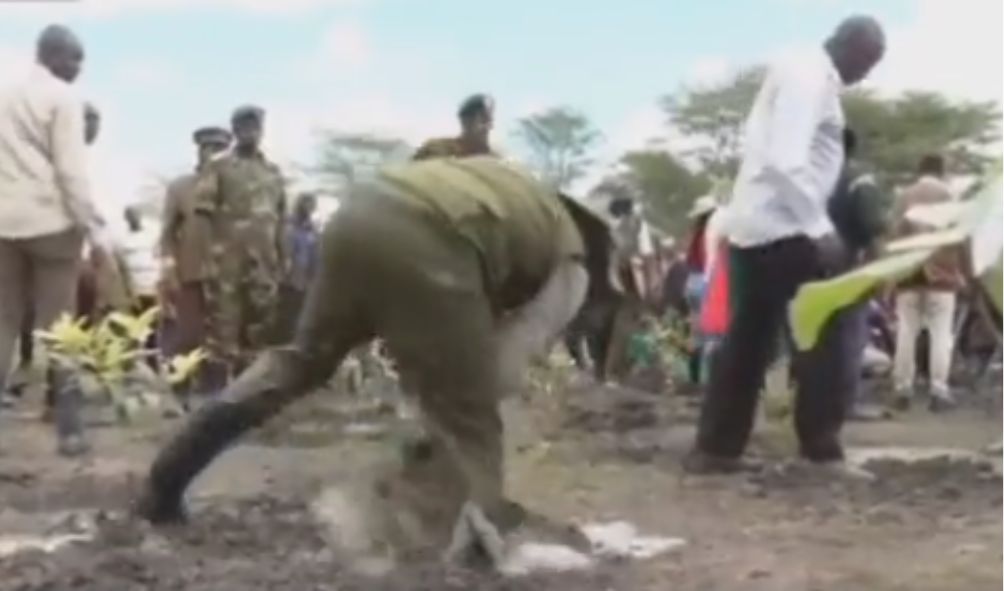 Ruto slips, nearly falls during tree planting day