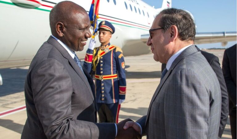 Inside Ruto state visit to Germany