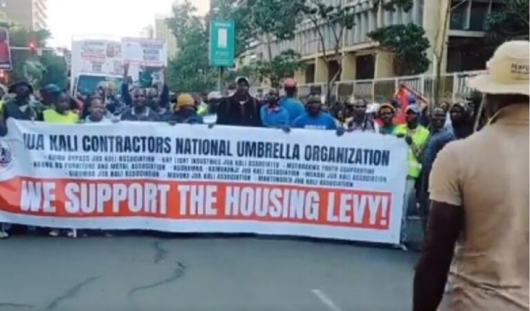Hired protester? 'Hustlers' holds protests in support of the Ruto housing levy
