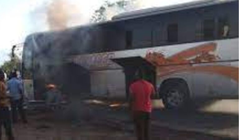 Passager bus butsts into flames mid journey