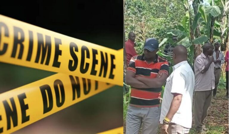 Shock as a 60-year-old woman murdered and body dumped in a plantation
