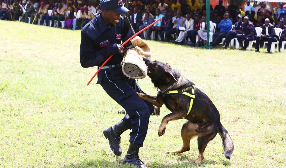 Government issues new guidelines on the use of dogs for security