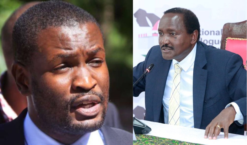 'We don't like Raila being pushed to do something" Edwin Sifuna to Kalonzo