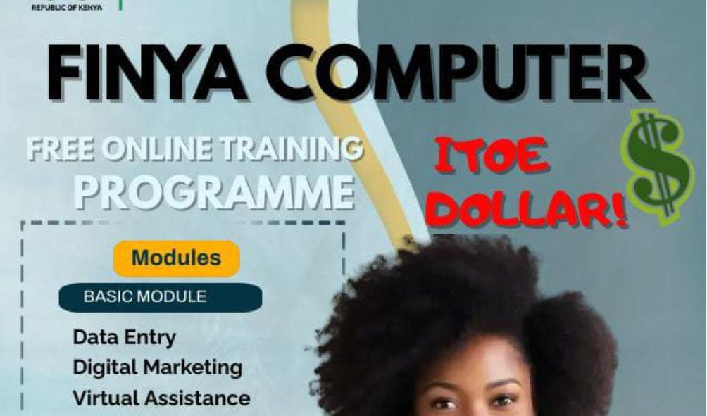 Government launches 'Finya Computer Itoe Dollar' online platform; Find link to apply