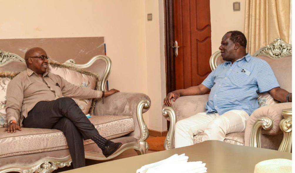 Why Oparanya should accept Wanjigi offer for running mate; Ahmednasir