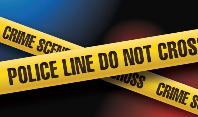 Woman found dead with head missing