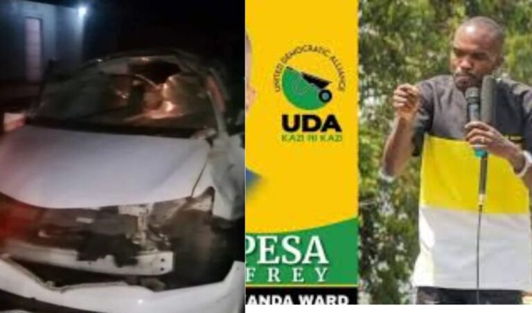 UDA politician dies in a fatal road accident