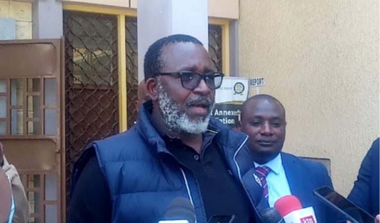 UDA lawmaker calls for the arrest of CS Linturi