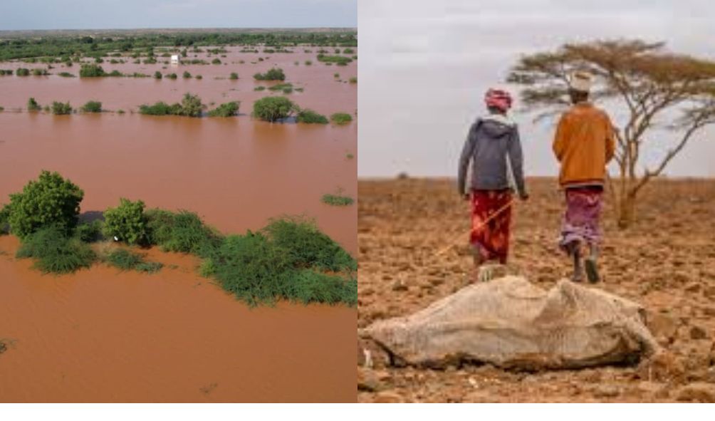 Drought to hit Kenya after floods, UN report