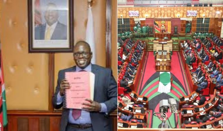 MPs kick out EPZA CEO in a heated session