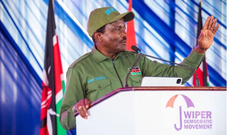 It is time for Mt Kenya to lead anti-government protests; Kalonzo