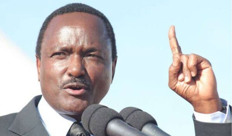 Wiper Party responds to reports of expelling MPs who voted 'Yes' to Finance Bill 2024