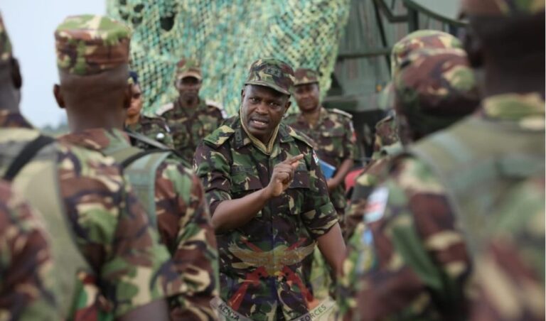 High Court suspends deployment of KDF after LSK petition