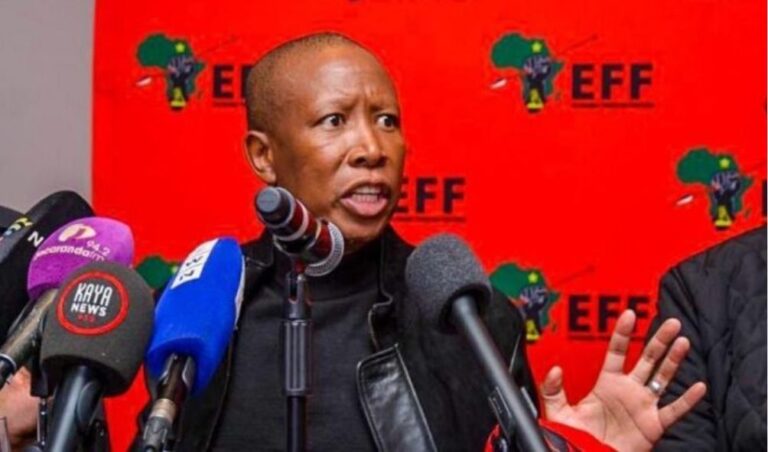 Julius Malema lauds Kenyan youth following Finance Bill protests