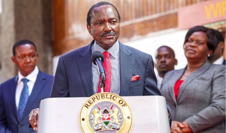 The government of national unity is not good for Kenya; Kalonzo
