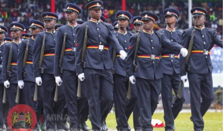 NPSC announces Deputy Inspector General Vacancies; Requirements