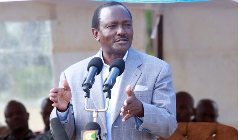 Kalonzo takes Ruto head-on 'No one should talk as if he owns the country