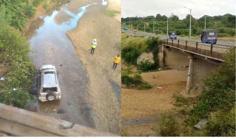 Senior KWS officer dies after vehicle plunges into river