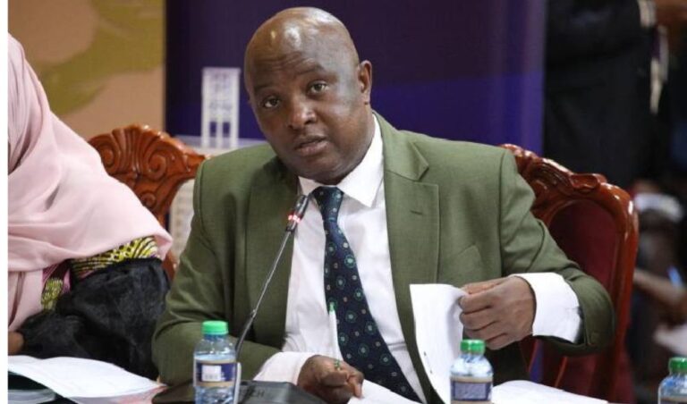 Charges against Meru Governor Kawira Mwangaza were not impeachable; ODM Senator